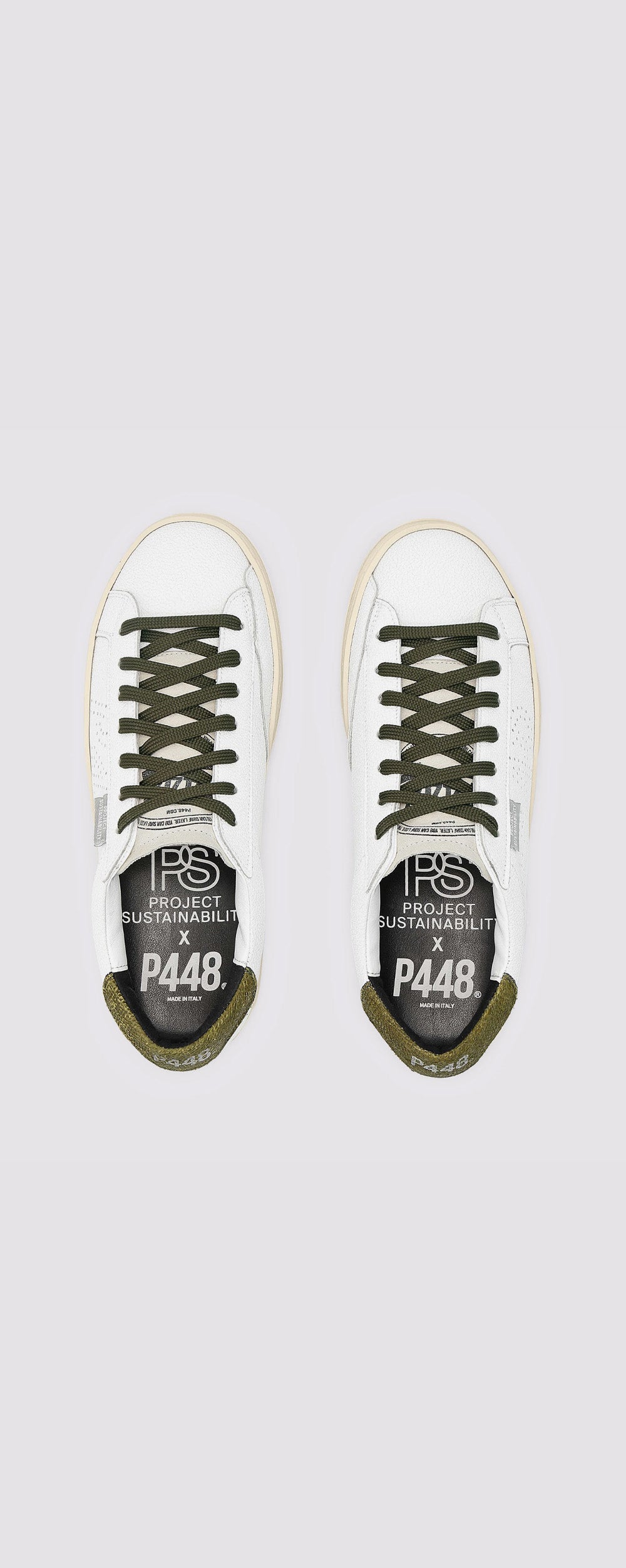 Project Sustainability® – P448